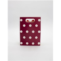 Пакет подарочный (XS) "Many dots", red (12x6x16)