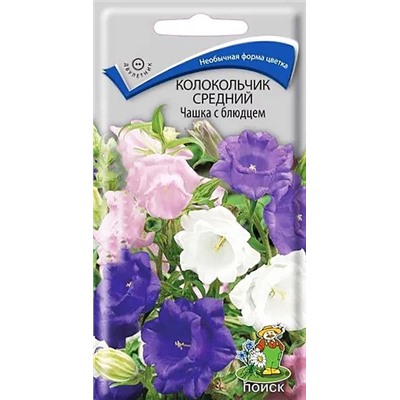 Семена Колокольчик Чашка с блюдцем средний, арт.: 4104