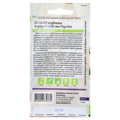 Семена цветов бегония «Вайт виз Роуз», 4 шт.