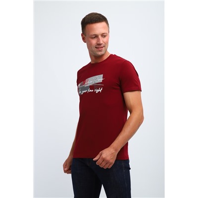 Футболка мужская 058