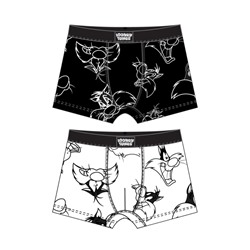 Трусы для мальчика - боксеры, 2 шт в комплекте