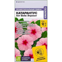 Семена Катарантус Хит Вейв Эприкот, арт.: 13664