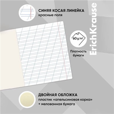 Тетрадь 12 листов в косую линейку, ErichKrause CoverPro, пластиковая обложка, МИКС