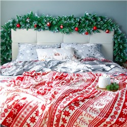Постельное бельё Этель 1.5сп Snow time 143х215см,150х214см,50х70см-2 шт