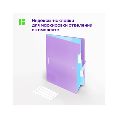 Папка 5 отделений Berlingo "Haze", А4, 600мкм, на кнопке, сиреневая, софт-тач