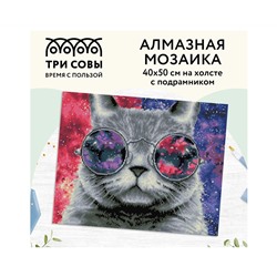 Алмазная мозаика ТРИ СОВЫ "Кошачий космос", 40*50см, холст на деревянном подрамнике, картонная коробка с пластиковой ручкой