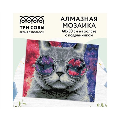 Алмазная мозаика ТРИ СОВЫ "Кошачий космос", 40*50см, холст на деревянном подрамнике, картонная коробка с пластиковой ручкой