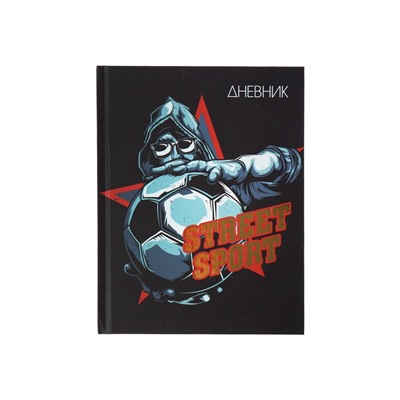Дневник школьный для 1-11 классов, Street Sport, твёрдая обложка 7БЦ, матовая ламинация, тиснение фольгой, 40 листов