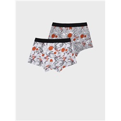 Трусы-боксеры для мальчика, 2 шт в комплекте