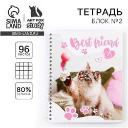 Тетрадь в клетку, 96 л., А5, на спирали, блок №2 «Котик»