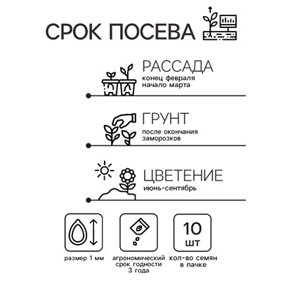Семена цветов Катарантус Пацифика "Оранж" 10 шт