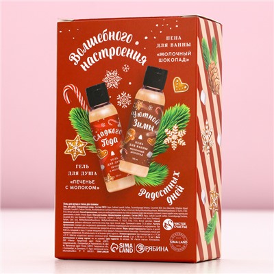 Подарочный набор новогодний женский «Тепла и Уюта»: гель для душа и пена для ванны, 2×100 мл, Чистое счастье