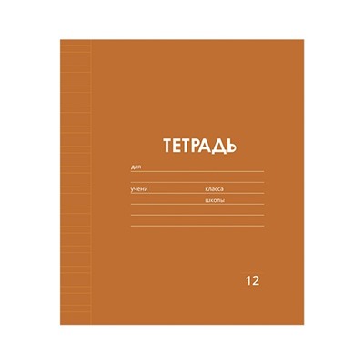 Тетрадь 12 листов в узкую линию Calligrata «Однотонная Классика. Эконом», серые листы, МИКС