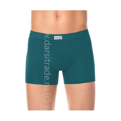 Трусы мужские MSH700 Basic Shorts DiWaRi Дроп [бандероль] шорты