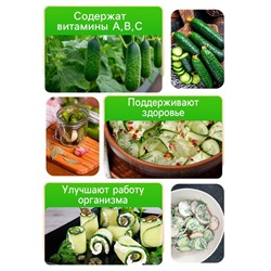 Семена Огурец "Все гладко", F1, 10 шт