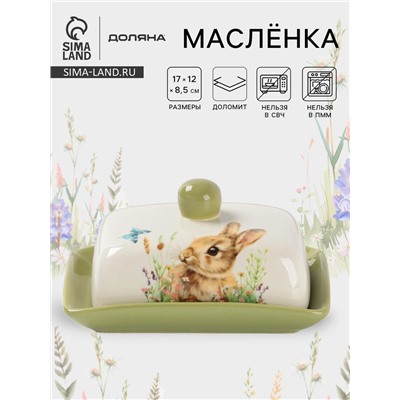 Маслёнка Доляна «Зайка», 17×12×8.5 см, доломит, белая