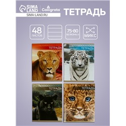 Тетрадь 48 листов в клетку, Calligrata «Дикие кошки», обложка мелованная бумага, МИКС