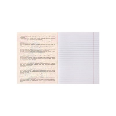 Тетрадь предметная 48 листов в линейку Calligrata «Журнал. Литература», картонная обложка