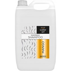Шампунь для поддержания цвета окрашенных волос ColorArt  Манго 5000 г.
