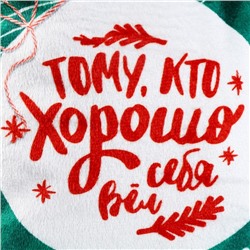 Рюкзак - мешок детский новогодний «Тому, кто хорошо себя вёл», 35×30 см