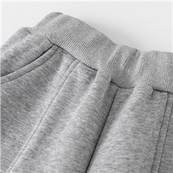 Спортивные штаны на флисе WELLKIDS