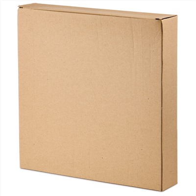 НАБОР ТАРЕЛОК ОБЕДЕННЫХ КОЛЛЕКЦИЯ "PINE CONES", 2 ШТ. /  25*25*2,3  СМ