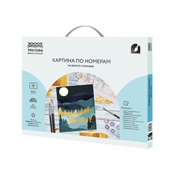 Картина по номерам на холсте ТРИ СОВЫ "Золотая ночь", 40*50, с поталью, акриловыми красками и кистями