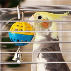 Игрушка для попугая «Забава» с 1 шариком, микс