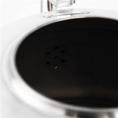 Чайник, 6 л, нержавеющая сталь