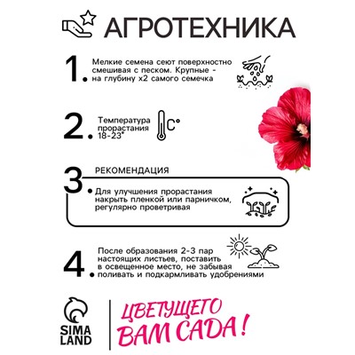 Семена   Шток-роза Индийская весна, смесь сортов , 0,3г