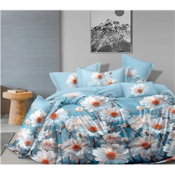 Постельное белье бязь люкс / Ромашки