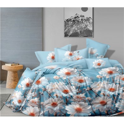 Постельное белье бязь люкс / Ромашки