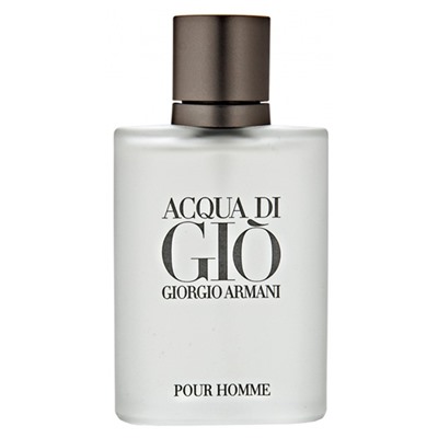 EU Giorgio Armani Acqua Di Gio Pour Homme 100 ml