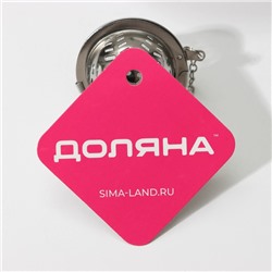 Ситечко для чая Доляна «Бергамот», d=4.5 см, на цепочке, нержавеющая сталь, серебристое