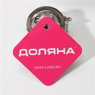 Ситечко для чая Доляна «Бергамот», d=4.5 см, на цепочке, нержавеющая сталь, серебристое