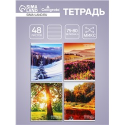 Тетрадь 48 листов в клетку, Calligrata «Времена года», обложка мелованная бумага, серые листы, МИКС