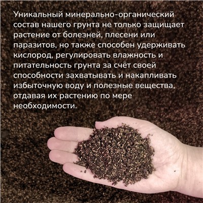 Набор д/создания бонсай "Сад Радости", "Гранат"