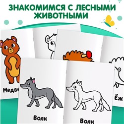 Раскраска "Лесные животные", 16 стр.