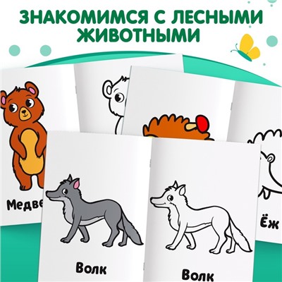 Раскраска "Лесные животные", 16 стр.