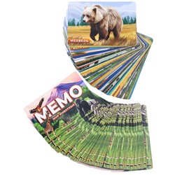 Мемо «Мир животных», 50 карт