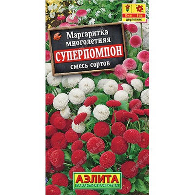 1428 Маргаритка Суперпомпон, смесь сортов 0,05гр