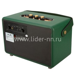 Колонка  ELTRONIC MONSTER BOX  850 (30-15) TWS (зеленый)
