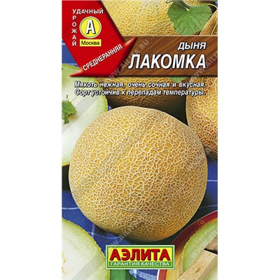0377 Дыня Лакомка 1гр