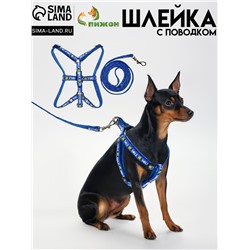 Комплект амуници "Смайлик", ширина 1 см, поводок 120 см, шлейка 26-38 см, синий