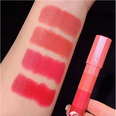 Набор помад для губ 4 в 1 Dragon Ranee, ЦВЕТ В