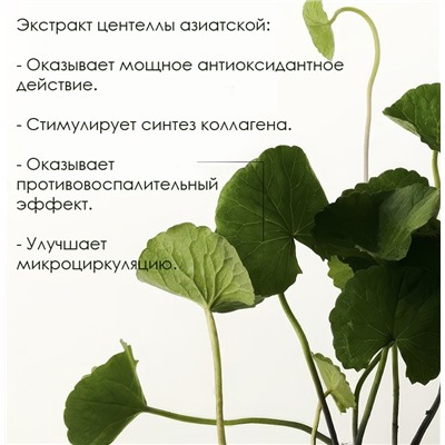 Пенка для умывания с экстрактом центеллы и аминокислотами Hankey, 60 гр.
