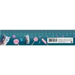 Закладка-линейка 20 см "CANDY CAT" ЗЛ-20 Пчелка