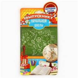 Значок с лентой на Выпускной «Выпускник начальной школы 2024», диам. 4,5 см