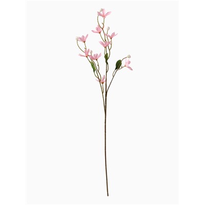 Цветы искусственные «Белоцветник шелковый», 74×4 см, розовые