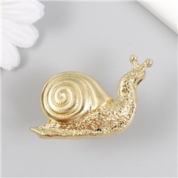 Мебельная ручка - кнопка, металл «Улитка», золото, 2.8×5.2 см